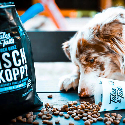 Noch ganz Fisch im Kopp? - doggiescouture.at