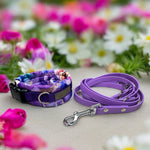 Pansies - doggiescouture.at