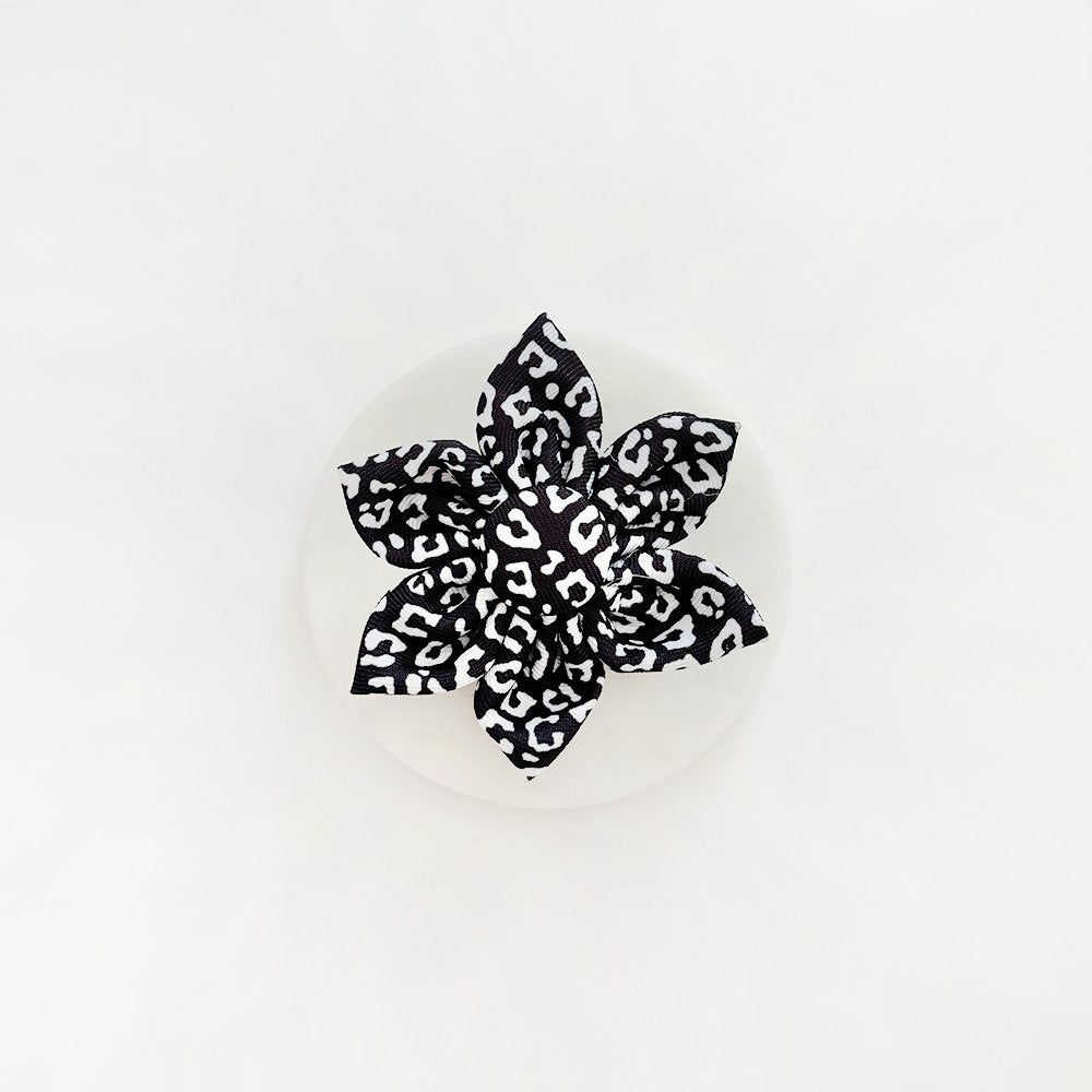 Schwarze Blume mit Leopardenhalsband - doggiescouture.at