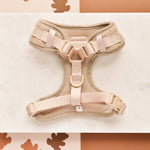 Theo verstellbarer Halsgurt mit Stickerei Teddy - doggiescouture.at
