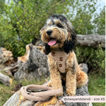 Theo verstellbarer Halsgurt mit Stickerei Teddy - doggiescouture.at