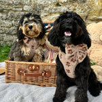 Theo verstellbarer Halsgurt mit Stickerei Teddy - doggiescouture.at