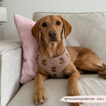 Theo verstellbarer Halsgurt mit Stickerei Teddy - doggiescouture.at