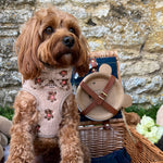Theo verstellbarer Halsgurt mit Stickerei Teddy - doggiescouture.at