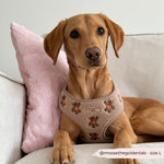 Theo verstellbarer Halsgurt mit Stickerei Teddy - doggiescouture.at