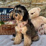 Theo verstellbarer Halsgurt mit Stickerei Teddy - doggiescouture.at