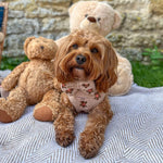 Theo verstellbarer Halsgurt mit Stickerei Teddy - doggiescouture.at