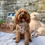 Theo verstellbarer Halsgurt mit Stickerei Teddy - doggiescouture.at