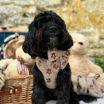 Theo verstellbarer Halsgurt mit Stickerei Teddy - doggiescouture.at