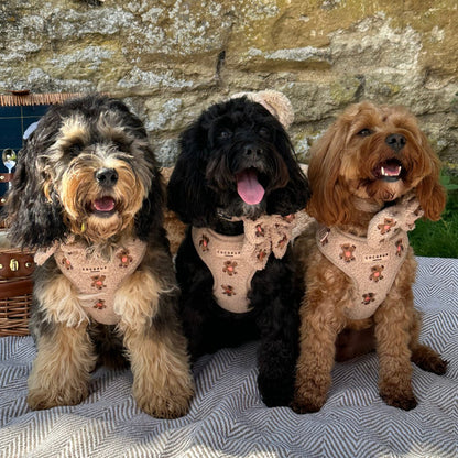 Theo verstellbarer Halsgurt mit Stickerei Teddy - doggiescouture.at