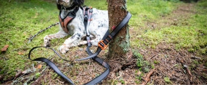 Touring Bungee Leash Adjustable - doggiescouture.at