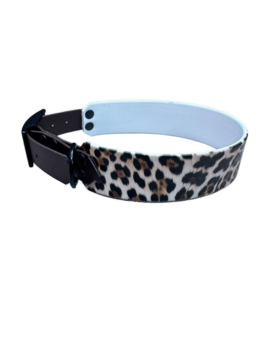 White leopard - doggiescouture.at